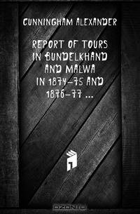 Report of Tours in Bundelkhand and Malwa in 1874-75 and 1876-77