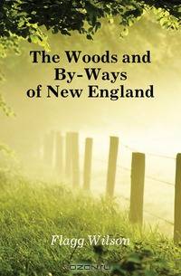 The Woods and By-Ways of New England
