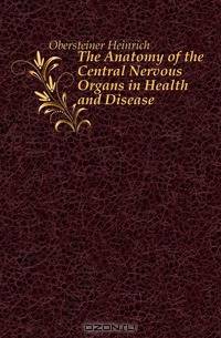 The Anatomy of the Central Nervous Organs in Health and Disease