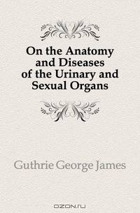 On the Anatomy and Diseases of the Urinary and Sexual Organs