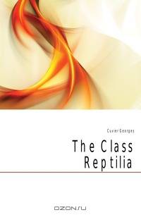 The Class Reptilia