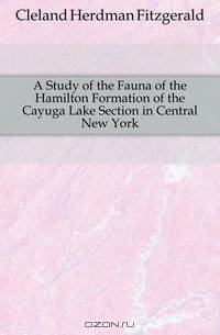 A Study of the Fauna of the Hamilton Formation of the Cayuga Lake Section in Central New York