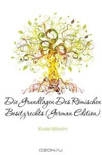 Die Grundlagen Des Romischen Besitzrechts (German Edition)