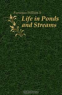 Life in Ponds and Streams