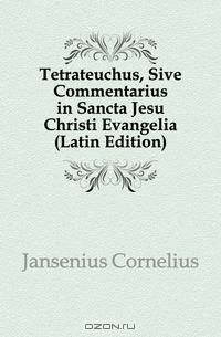 Tetrateuchus, Sive Commentarius in Sancta Jesu Christi Evangelia (Latin Edition)
