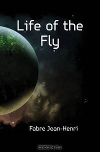 Life of the Fly