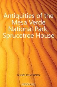 Antiquities of the Mesa Verde National Park, Sprucetree House