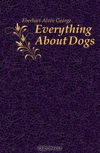 Everything About Dogs
