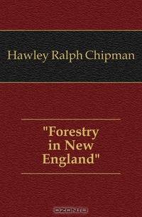 Forestry in New England