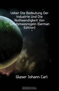 Ueber Die Bedeutung Der Industrie Und Die Nothwendigkeit Von Schutzmassregeln (German Edition)