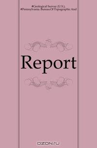 Report
