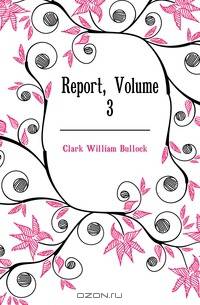 Report, Volume 3
