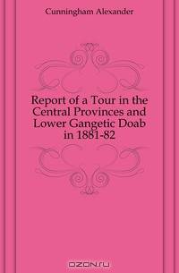 Report of a Tour in the Central Provinces and Lower Gangetic Doab in 1881-82