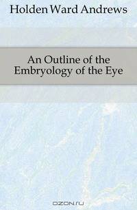 An Outline of the Embryology of the Eye