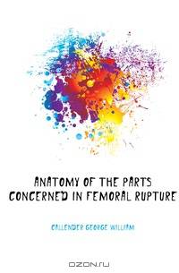 Anatomy of the Parts Concerned in Femoral Rupture