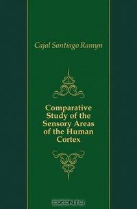 Comparative Study of the Sensory Areas of the Human Cortex