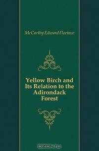 Yellow Birch and Its Relation to the Adirondack Forest