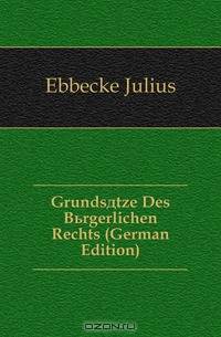 Grundsatze Des Burgerlichen Rechts (German Edition)