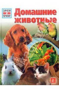 Домашние животные