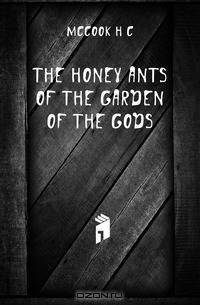 The honey ants of the Garden of the Gods.