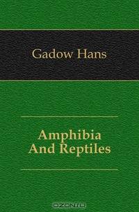 Amphibia And Reptiles