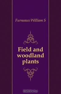 Field and woodland plants