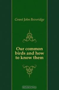 Our common birds and how to know them