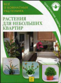 Растения для небольших квартир - (Все о комнатных растениях)