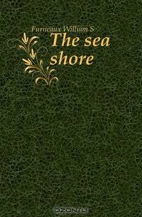 The sea shore