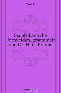 Sudafrikanische Formiciden, gesammelt von Dr. Hans Brauns.