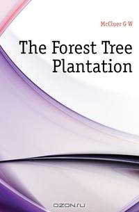 The Forest Tree Plantation