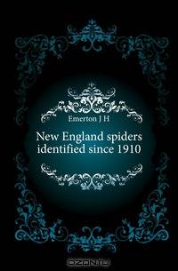 New England spiders identified since 1910