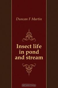 Insect life in pond and stream