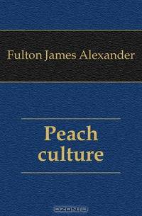 Peach culture