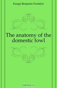The anatomy of the domestic fowl