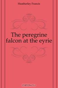 The peregrine falcon at the eyrie