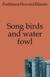 Song birds and water fowl