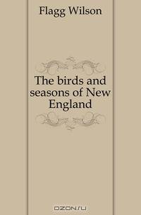 The birds and seasons of New England
