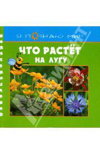 Что растет на лугу