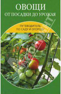 Овощи от посадки до урожая: сбор, хранение, переработка