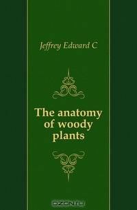 The anatomy of woody plants
