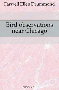 Bird observations near Chicago