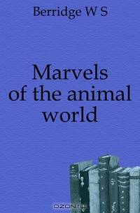Marvels of the animal world