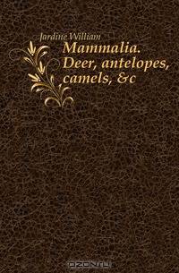 Mammalia. Deer, antelopes, camels, &c