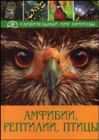 Амфибии, рептилии, птицы