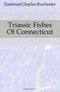 Triassic Fishes Of Connecticut