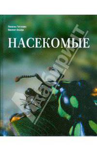 Насекомые