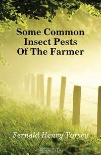 Some Common Insect Pests Of The Farmer