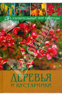 Деревья и кустарники: пер. с нем.
