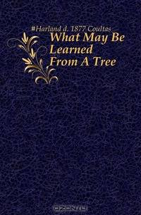 What May Be Learned From A Tree